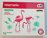 Пластилін дитячий 14 кольорів / ТМ Гамма / серія "Захоплення" / 224г, фото 2