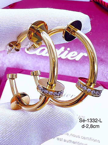 Сережки Stainlees Steel преміум (14-K), фото 1