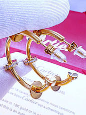 Сережки Stainlees Steel преміум (14-K), фото 4