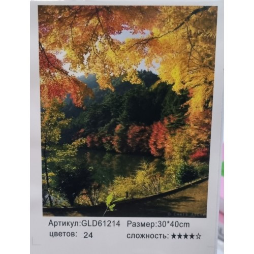 Алмазний живопис 30х40 GLD61117 у картонній коробці