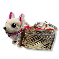 Собачка со стеклянніми глазами на поводке в сумочке
