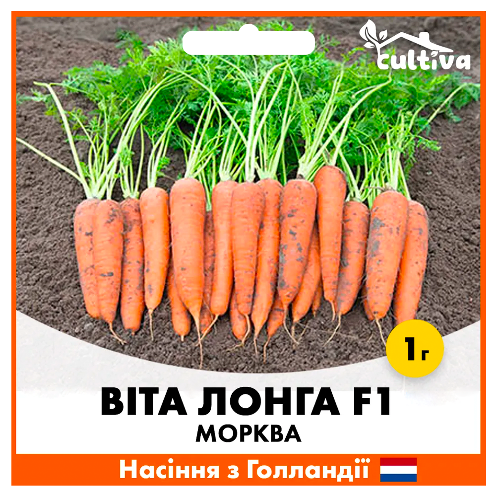 Морква Віта Лонга, 1 гр, Голландське насіння