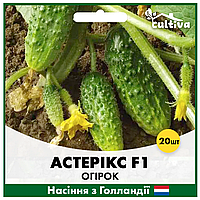 Огурец Астерикс F1, 20 шт, Голландские семена