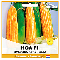 Сахарная кукуруза Ноа F1, 100 шт