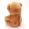 Плед-подушка іграшка 3в1 Рижий ведмедик (40см), фото 2