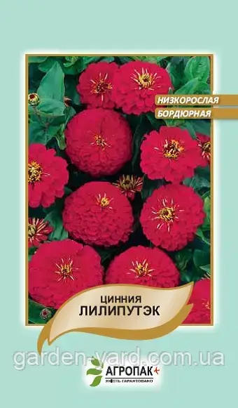 Насіння квітів цинія Ліліпутек червона 0,2г.  Агропак плюс
