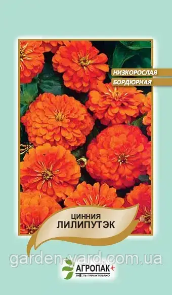 Насіння квітів цинія Ліліпутек жовтогаряча 0,2г.  Агропак плюс