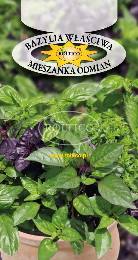 Базилік Суміш сортів / Mieszanka odmian Roltico 0.5 г Польща