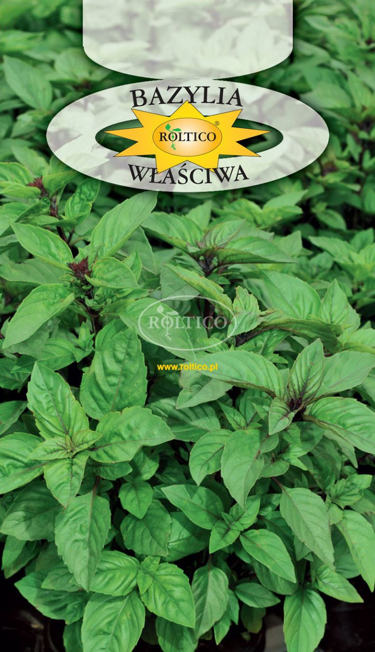 Базилік Власний зелений Roltico 0.5г, фото 1