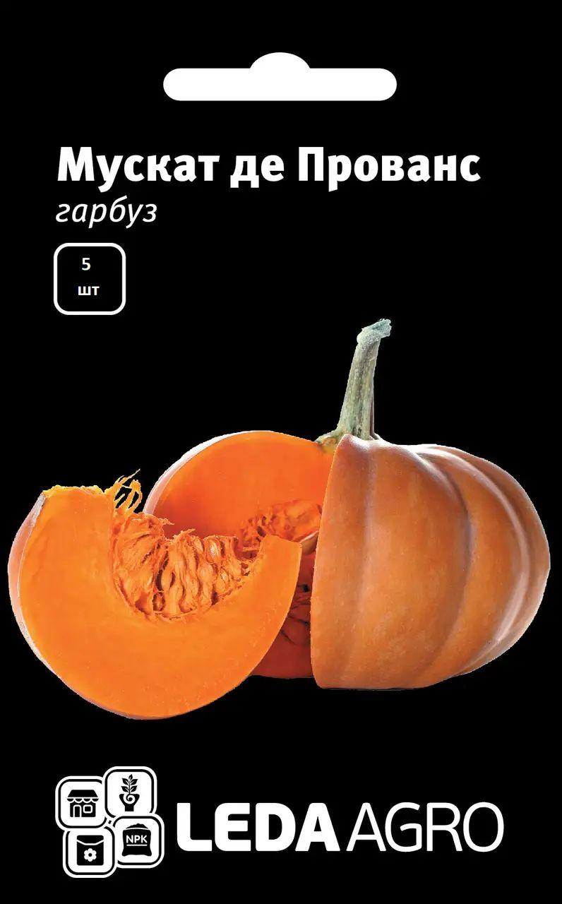 Насіння Гарбуз Мускат де Прованс 5шт LEDAAGRO