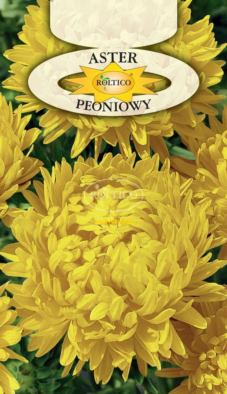 Айстра піоновидна жовта / Aster Peoniowy 1 г Roltico Польща