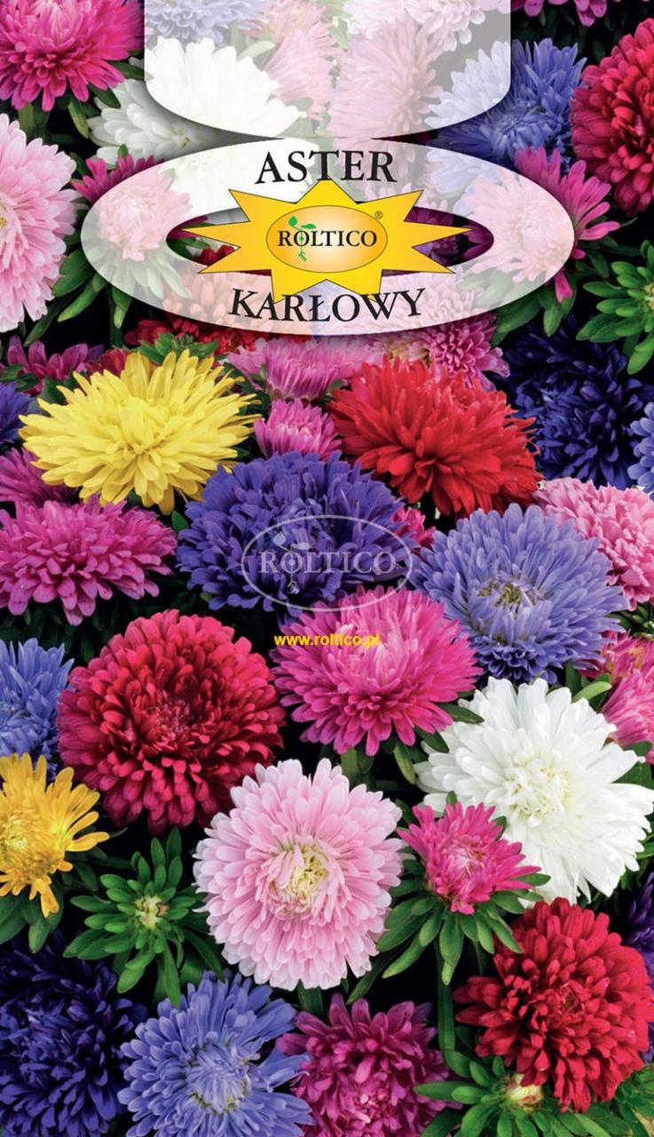 Айстра карликова суміш / Aster Karlowy 1 г Roltico Польща