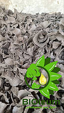 Макуха листова з лушпиння соняшника (15 кг), фото 2