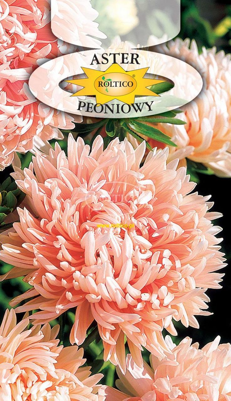 Айстра піоновидна лососева / Aster Peoniowy 1 г Roltico Польща
