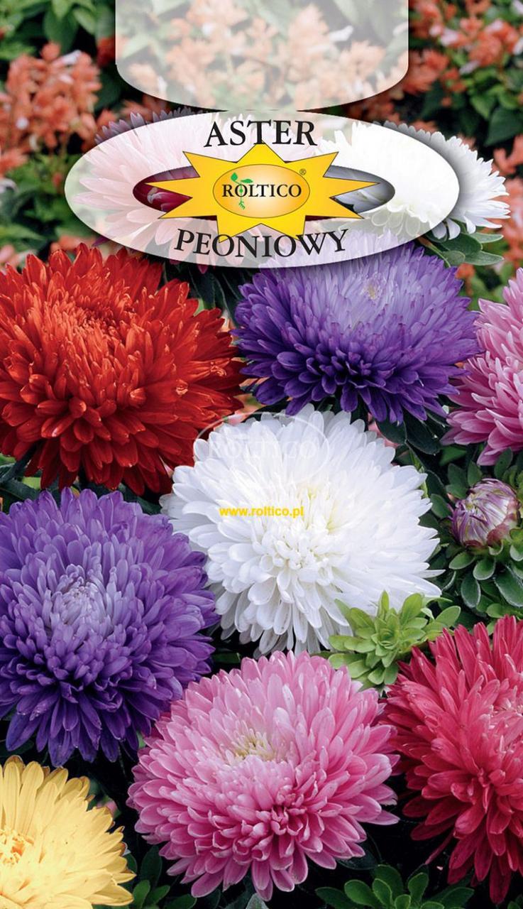 Айстра піоновидна суміш / Aster Peoniowy 1 г Roltico Польща