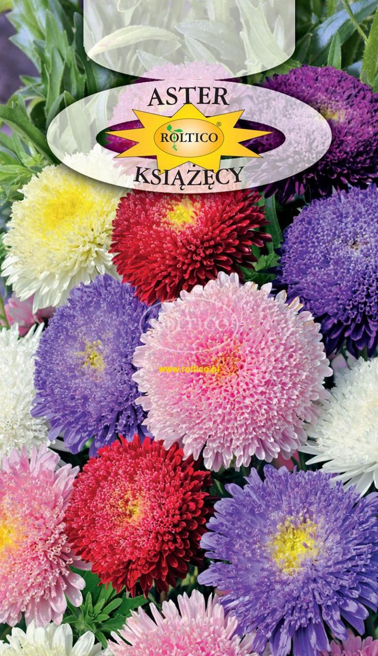 Айстра принцеса \ Aster Ksiazecy 1 г Roltico Польща