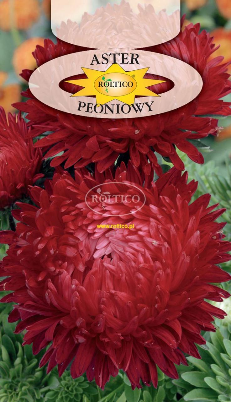 Айстра піоновидна червона \ Aster peoniowy 1 г Roltico Польща