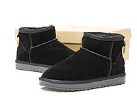 Женские УГГИ мини (черные) красивые модные низкие замшевые ботинки на меху Y14514