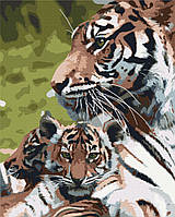 Картина по номерам Семья тигров Размер 40х50 см