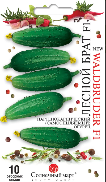 Огірок Лісовий брат F1 10 шт