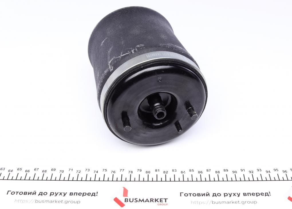 Подушка пневмопідвіски (ззаду) BMW X5 00-06 (R) TRUCKTEC AUTOMOTIVE 08.30.047 UA61, фото 1