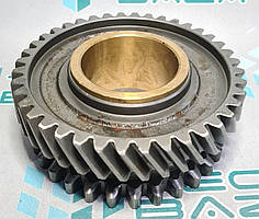 Шестерня привода ТНВД (МТЗ Д-240) Дорожня Карта 240-1006311-В