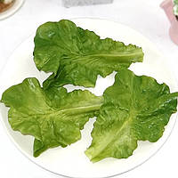 Штучні листя салату 10шт бутафорія муляж овочі імітація зелень