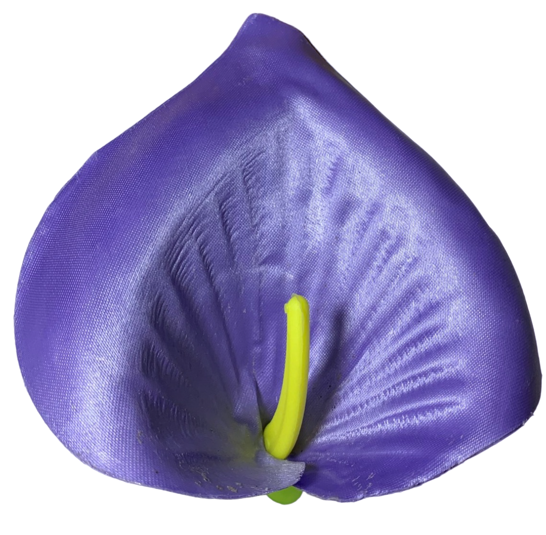 img_5643_photoroom.png_photoroom.png