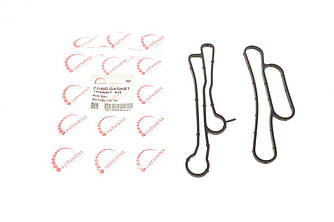 Прокладка радіатора масляного Ford Transit 2.2-2.4TDCi 06- (к-кт) ROTWEISS RWS1805 UA62