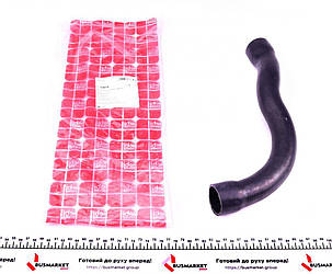 Патрубок системи охолодження BMW 5 (E39) 3,5-4,0 i 96-04 (зверху) (L) FEBI BILSTEIN 33875 UA62