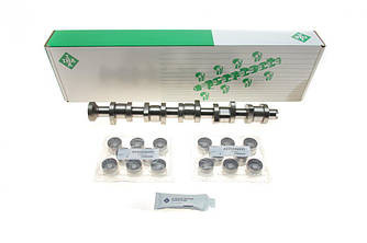 Комплект розподільчого валу VW T5 2.5TDI 03-10 96/128kw INA 428 0044 30 UA62