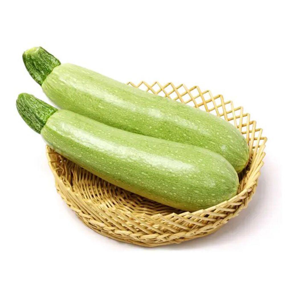 Елеонор F1 кабачок 500 шт, United Genetics