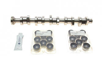 Комплект розподільчого валу VW T5 2.5 TDI 03-09, 96/120/128kw, (BNZ,AXD,BPC,AXE,BLJ) INA 428 0040 30 UA62