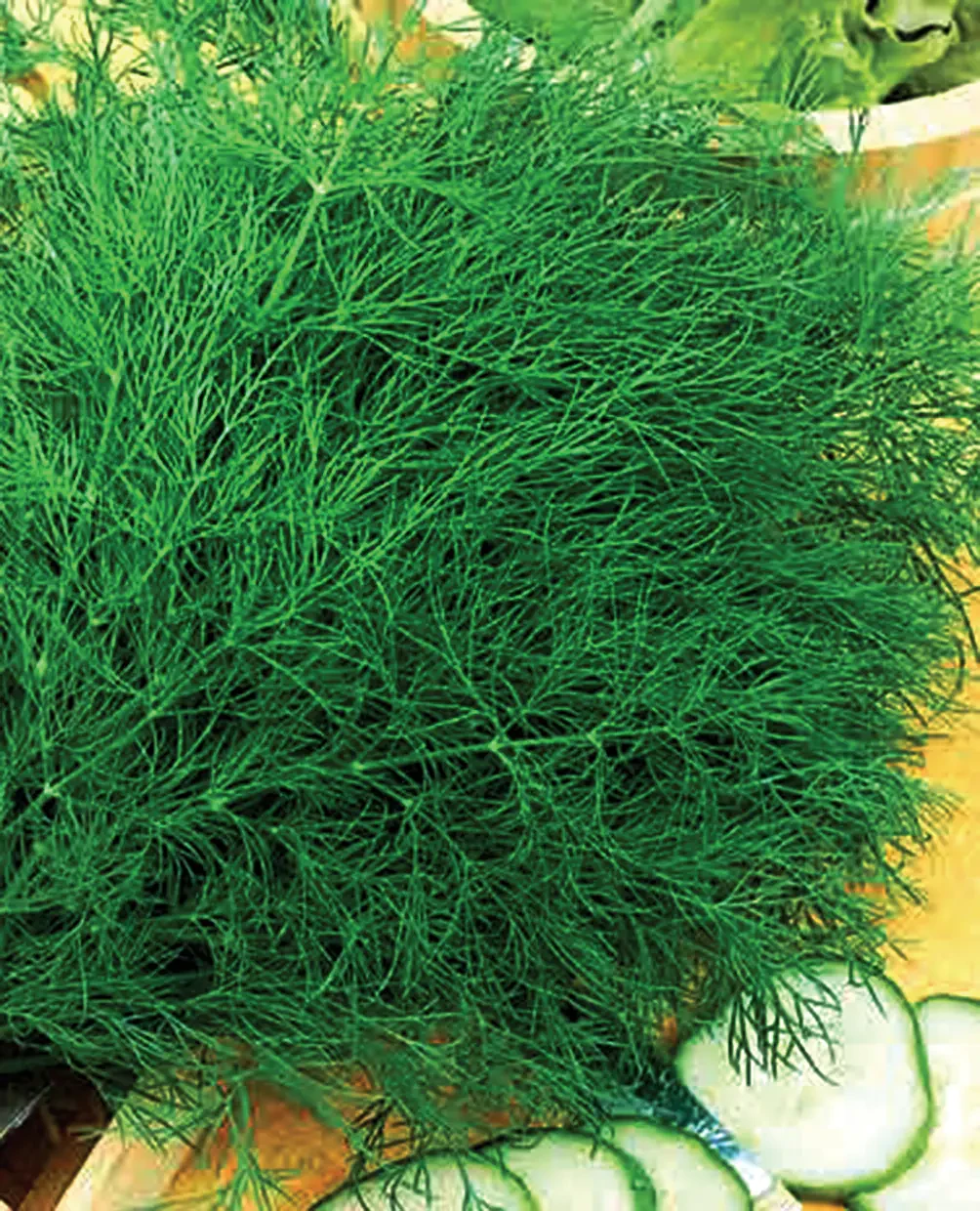 Libra Seeds кріп Мега Тетра (середній) 0,5 кг