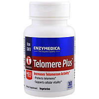 Защита теломер Telomere Plus Enzymedica 30 капсул
