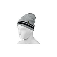 Шапка унисекс BMW Motorrad Beanie TwinStripes, Unisex