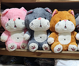 М'яка іграшка подушка плед 3 в 1 Кіт, котик, котик щастя 45 см, фото 6