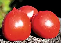 LibraSeeds томат красный индетерминантный Лагранж F1 (1000 семян)