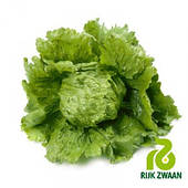 Салат айсберг Діамантінас 1000 н. (драже)