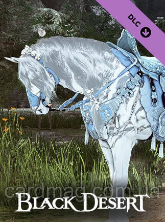 Horse cheap gear online