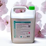 Аеродезин 5 л засіб для швидкої дезінфекціі поверхонь та інструментів, фото 3