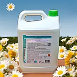 Аеродезин 5 л засіб для швидкої дезінфекціі поверхонь та інструментів, фото 9