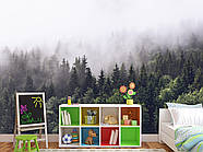 Фотошпалери "Ліс в тумані" самоклеюча плівка Oracal для декору спальні, залу, кухні, фото 4