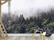 Фотошпалери "Ліс в тумані" самоклеюча плівка Oracal для декору спальні, залу, кухні, фото 7