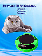 Іграшка для котів інтерактивна "Злови мишку" точила для кігтів Catch The Mouse