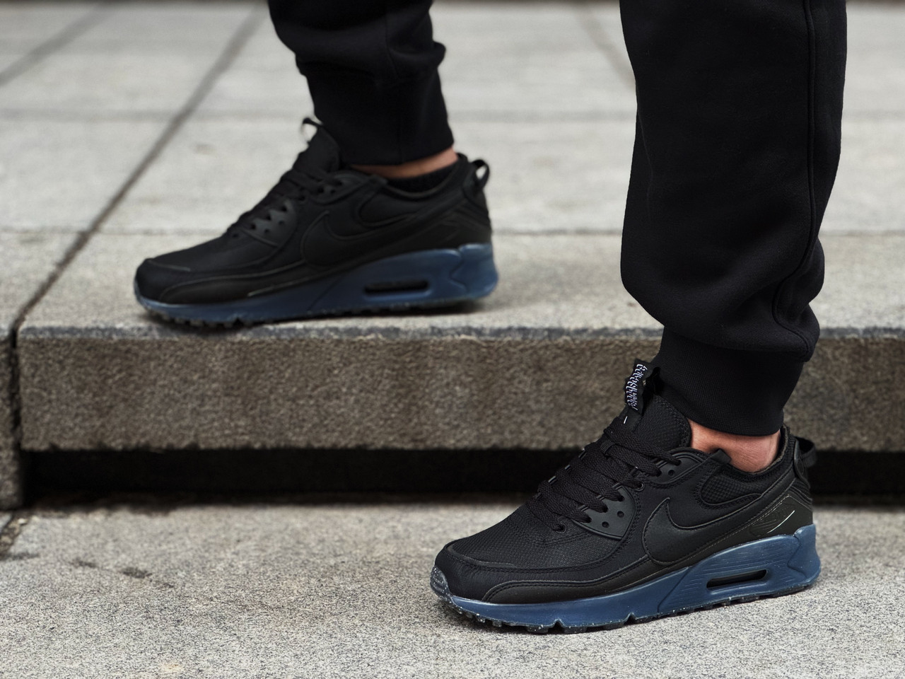 Кроссовки мужские Nike Air Max Terrascape 90 / DQ3987-002, фото 1