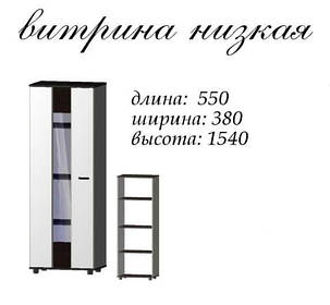 Вітрина Марс МДФ низька 1540х550х380мм Майстер Форм, фото 3