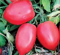 LibraSeeds томат детерминантный розовая сливка Пинк Кросс F1 (LS 09/46 F1) (100 семян)