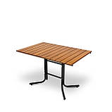 Стол для дачі "Ріо Плюс" Тік Металевий (120*80 см)  - Mix-Line, фото 6