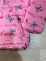 Куртки для дівчаток оптом, S&D, 1-5 років, арт. CH-6828, фото 5